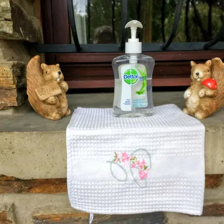 Les Ecureuils לינה וארוחת בוקר Revin (Ardennes)