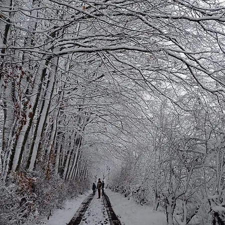 Bed and Breakfast Les Ecureuils Revin (Ardennes)