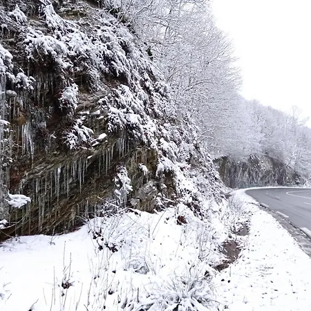 Les Ecureuils Bed and Breakfast