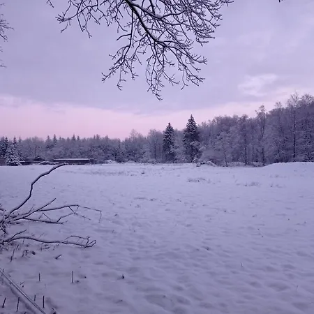 Les Ecureuils Bed and Breakfast