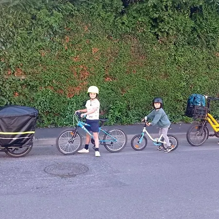 Les Ecureuils *