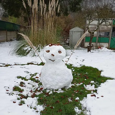 Les Ecureuils Bed and Breakfast