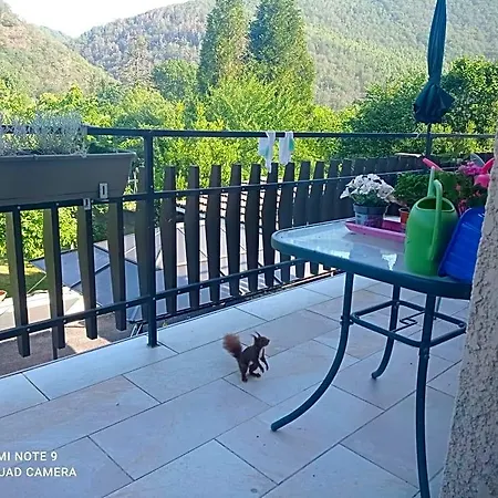 B&B Les Ecureuils Revin (Ardennes)