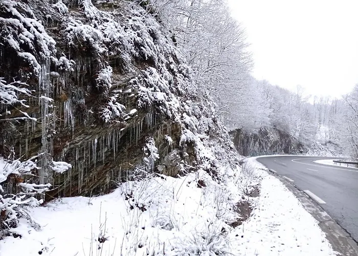 Les Ecureuils Oda ve Kahvaltı