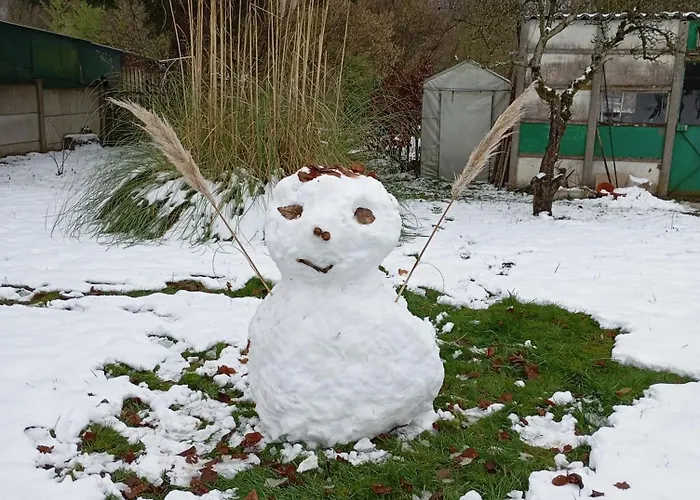 Les Ecureuils Oda ve Kahvaltı